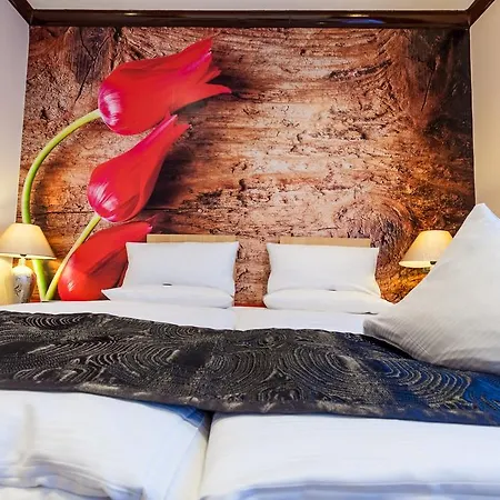 מלון Akzent Tietmeyer & Cross Side Schöppingen